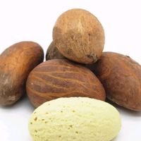 papagbassi